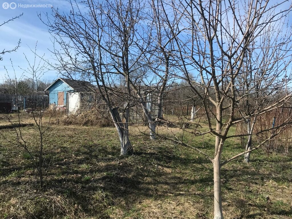 Купить участок в селе Реткино в Рязанском районе в Рязанской области — 25  объявлений о продаже участков на МирКвартир с ценами и фото