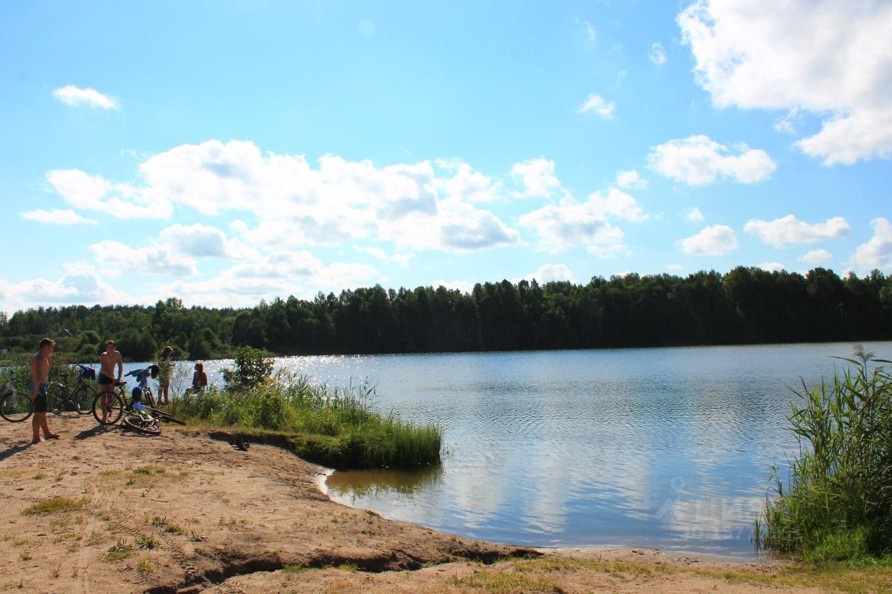 Троицкое озеро Лужский район