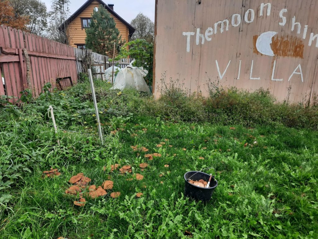 Купить дом с участком в деревне Боково в Перемышльском районе в Калужской  области — 42 объявления о продаже домов на МирКвартир с ценами и фото