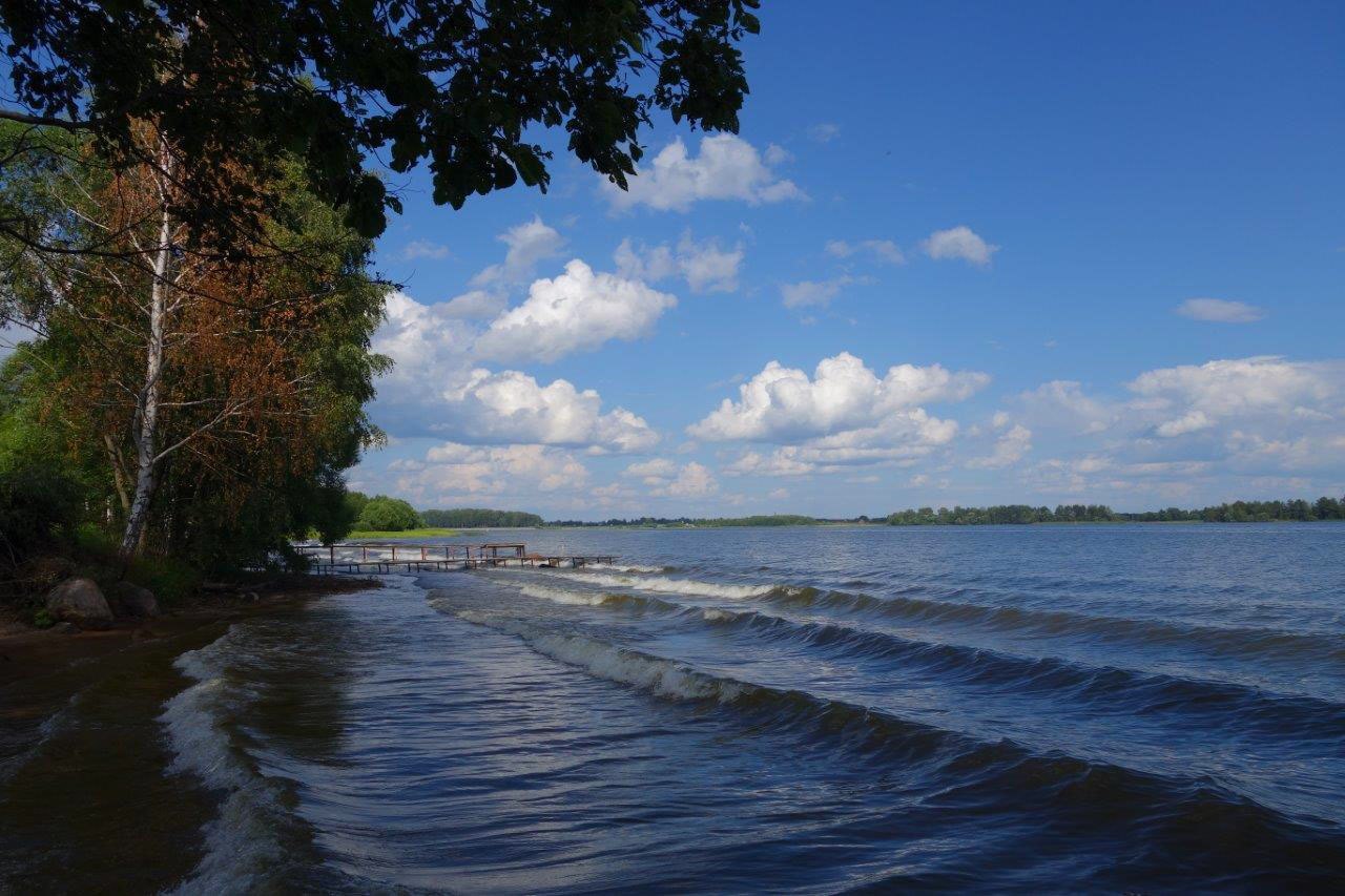 Волга недвижимость