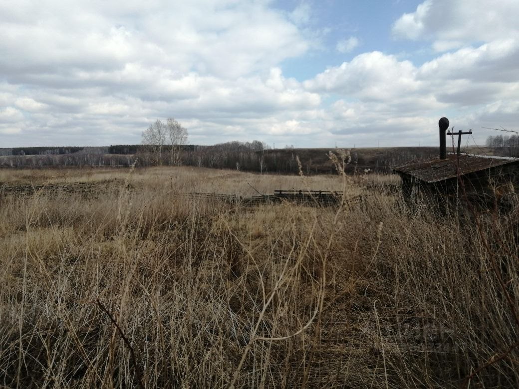 Купить дом в селе Дубинино в Шарыповском районе в Красноярском крае — 10  объявлений о продаже загородных домов на МирКвартир с ценами и фото