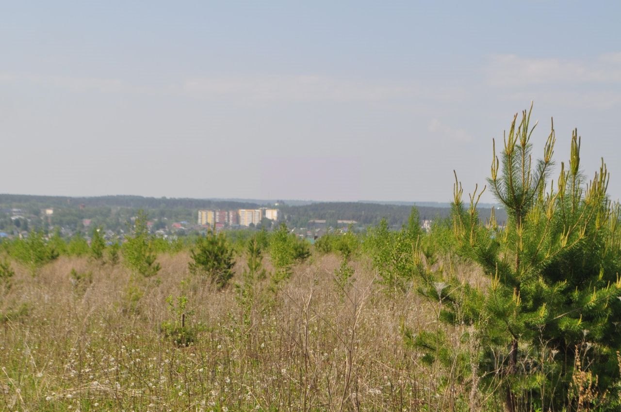 Купить загородную недвижимость в селе Филипповка в Кунгурском районе в  Пермском крае — 29 объявлений о продаже загородной недвижимости на  МирКвартир с ценами и фото