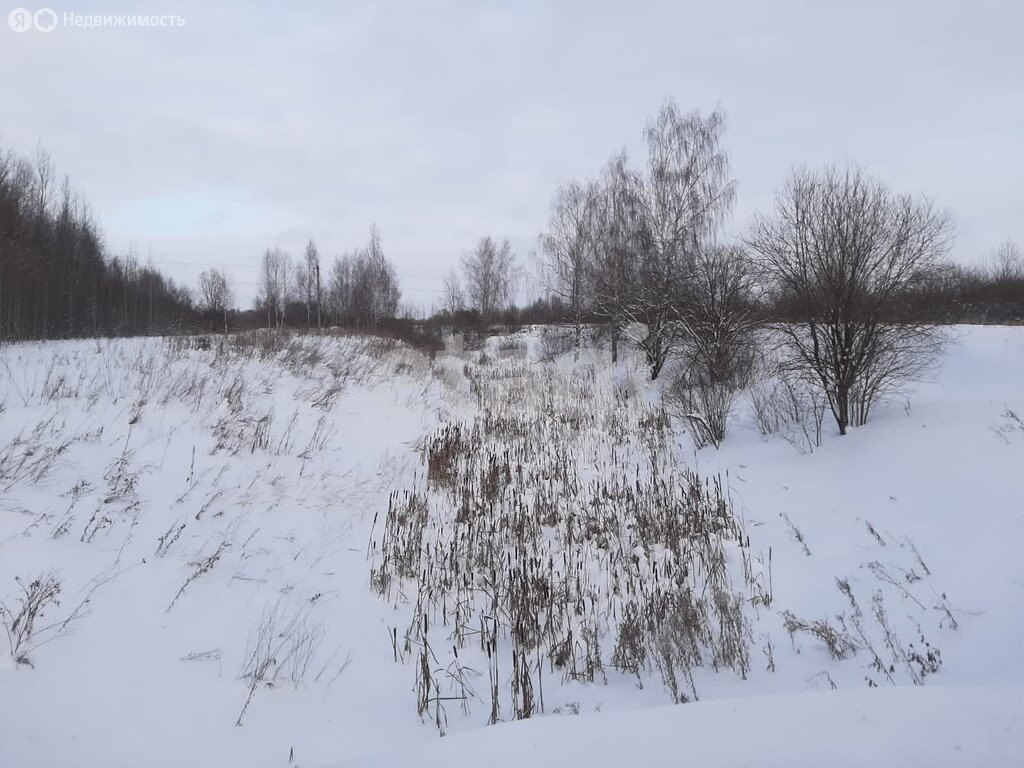 Купить участок в селе Шунга в Костромском районе в Костромской области — 48  объявлений о продаже участков на МирКвартир с ценами и фото