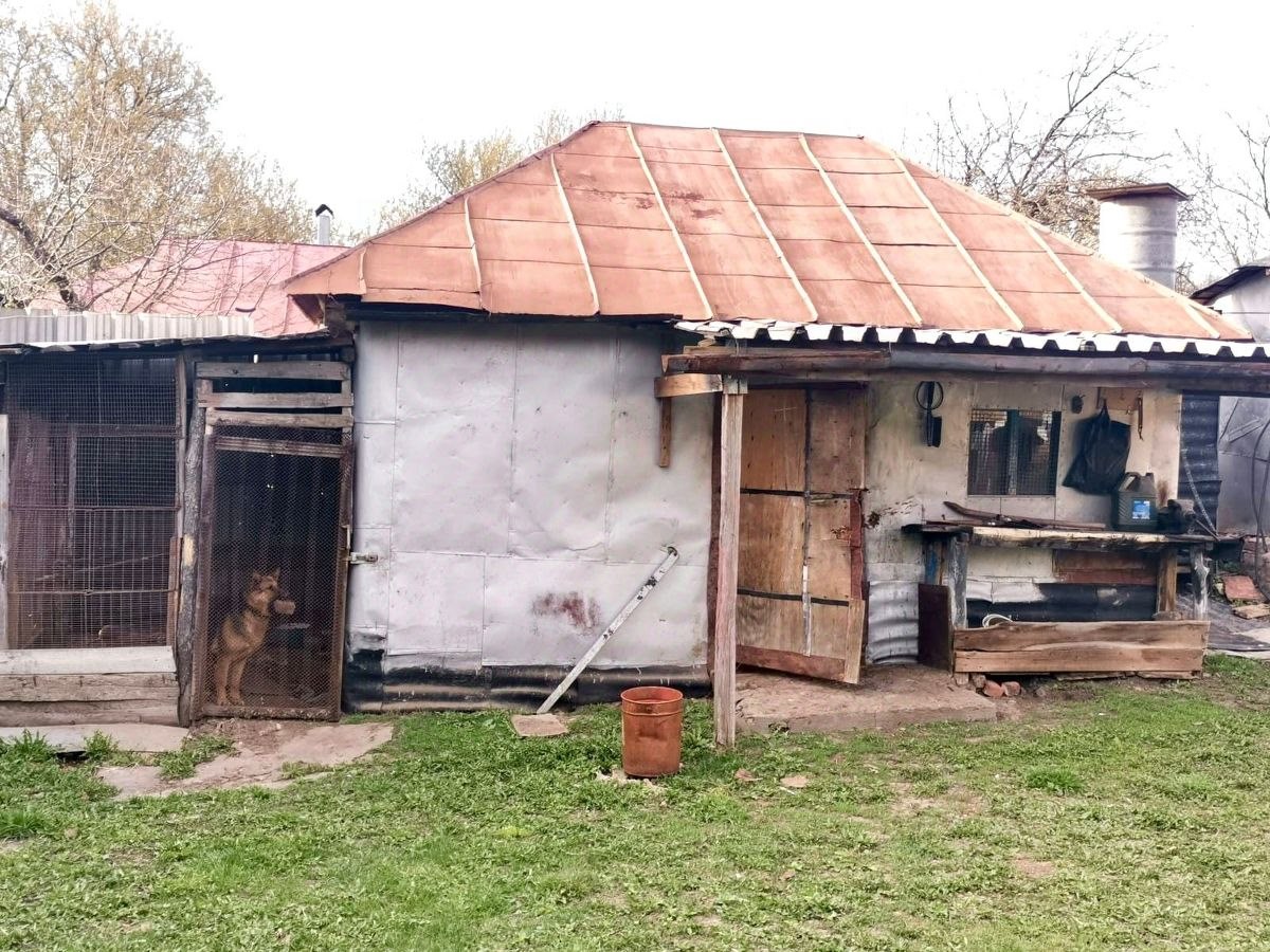 Купить 1-этажный дом в деревне Шемякино 2-е в Курском районе в Курской  области — 9 объявлений о продаже домов на МирКвартир с ценами и фото