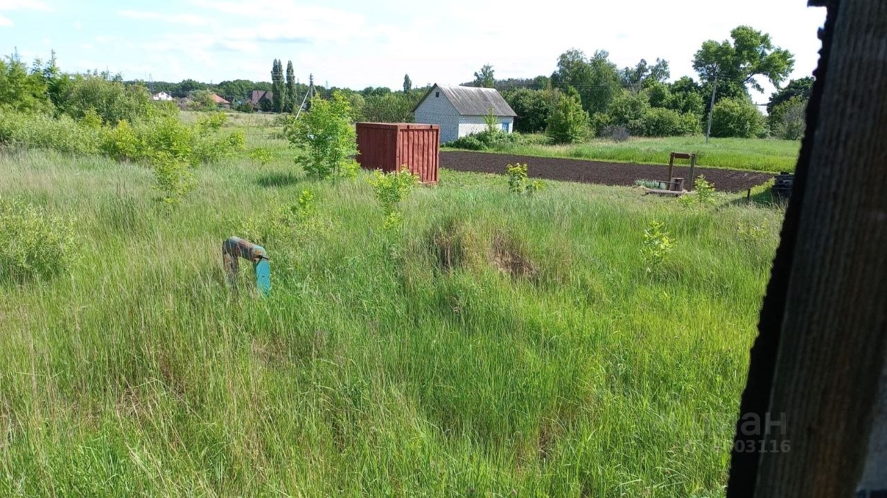 Купить участок в Аннинском районе в Воронежской области — 30 объявлений о  продаже участков на МирКвартир с ценами и фото