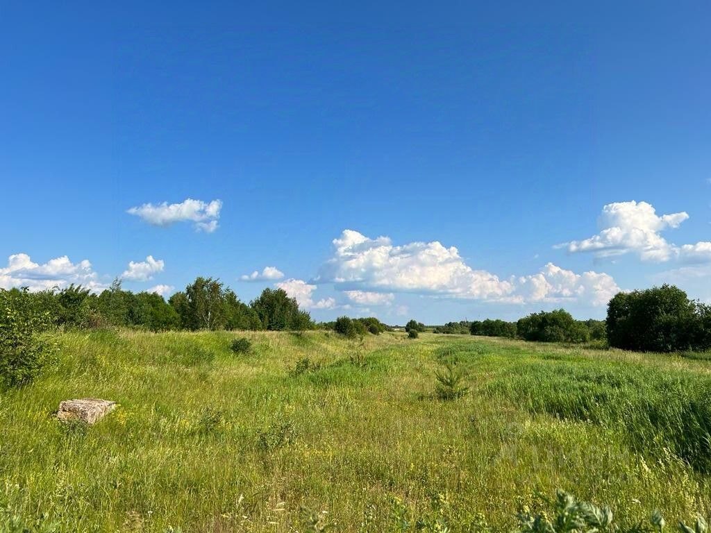 Купить участок в поселке Алтыново в Угличском районе в Ярославской области  — 25 объявлений о продаже участков на МирКвартир с ценами и фото