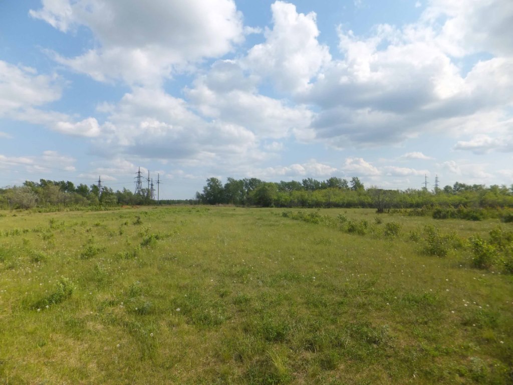 деление земельных участков. земельные участки на курской аномалии. инвестиции в недвижимость. земельный участок 5 га. сельскохозяйственные угодья.